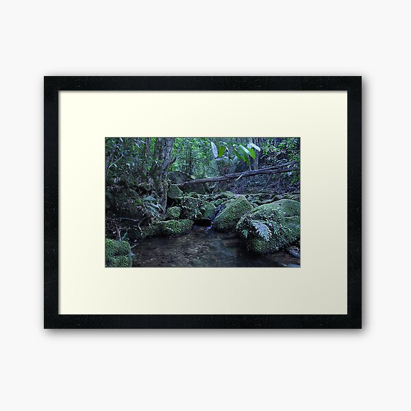 Item preview, Coachwood Glen - Megalong Valley NSW Australia designed and sold by Bev Woodman.