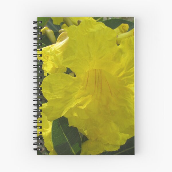Item preview, Tabebuia yellow flower, Golden trumpet tree designed and sold by abacoian.