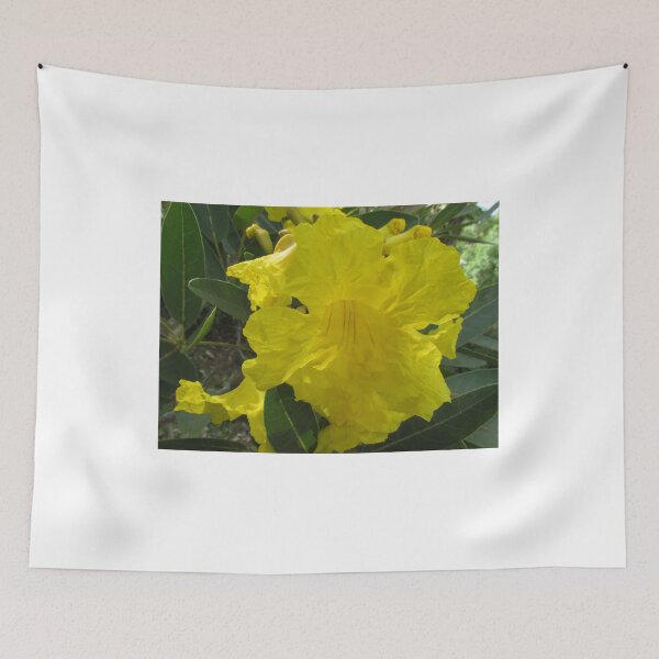 Item preview, Tabebuia yellow flower, Golden trumpet tree designed and sold by abacoian.