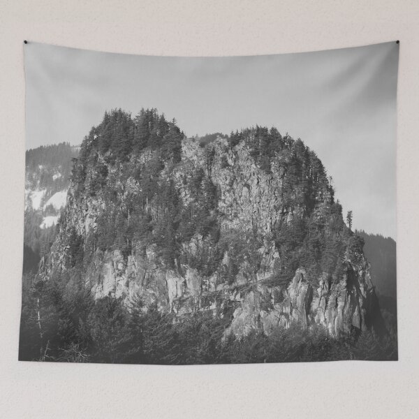 Artikelvorschau, Leuchtfeuer-Felsen - minimale Waldschwarzweißfotografie entworfen und verkauft von artcascadia.