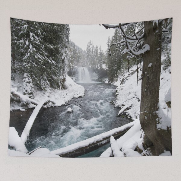 Artikelvorschau, Pazifische Nordwestwasserfälle - Forest River Adventure II entworfen und verkauft von artcascadia.
