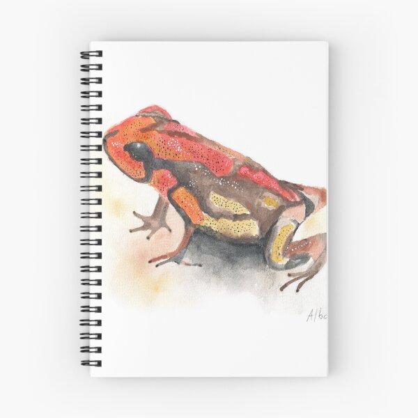Item preview, Santa Marta Frog designed and sold by Rosa Elena Albornoz Mendez.