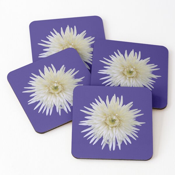 Item preview, White Gerbera on Purple designed and sold by STHogan2.