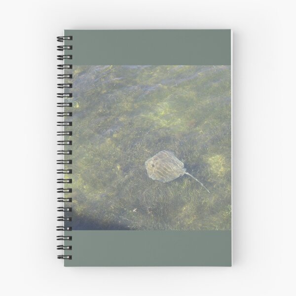 Item preview, Sting Ray in the Keys designed and sold by aura2000.