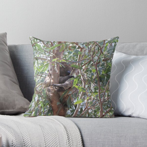 Koala in a tree, Morialta Conservation Park, S.A. Throw Pillow