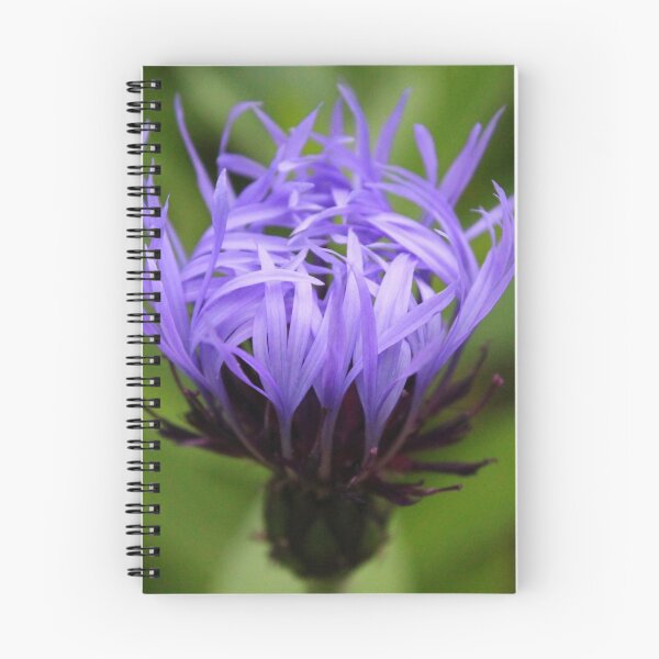 Item preview, Centaurea designed and sold by wovenbright.