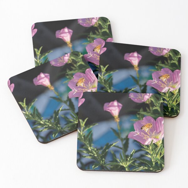 Item preview, Honeybee on Evening Primrose designed and sold by pixelmountain.