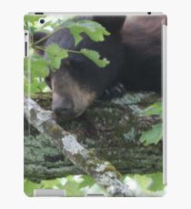 Sleeping Bear iPad-Hülle & Klebefolie
