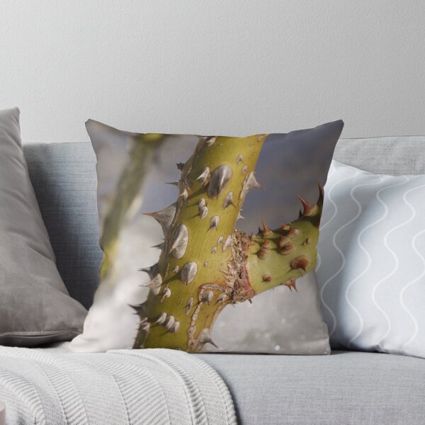 Item preview, Thorns designed and sold by webster7.