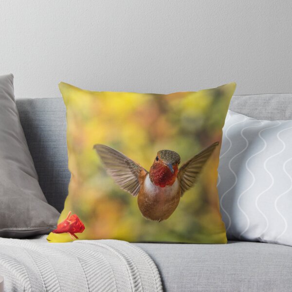 Item preview, Allen's designed and sold by MCHerdering Photography.