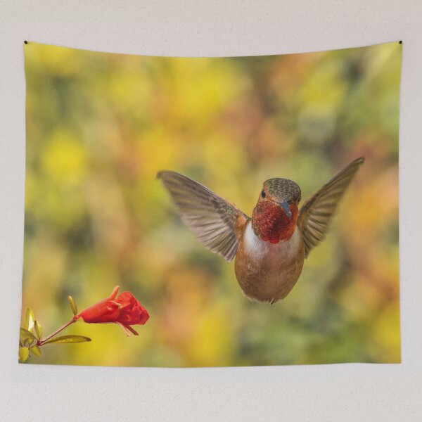 Item preview, Allen's designed and sold by MCHerdering Photography.