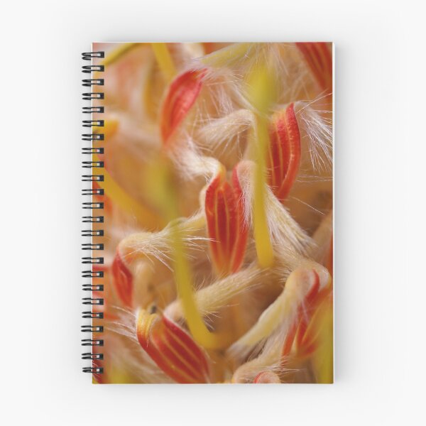 Item preview, Yellow Orange Bristles designed and sold by Michelle Lee Blatt.