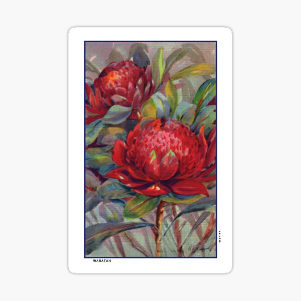 Item preview, Vintage Waratah Postcard Restored designed and sold by karwilbedesigns.