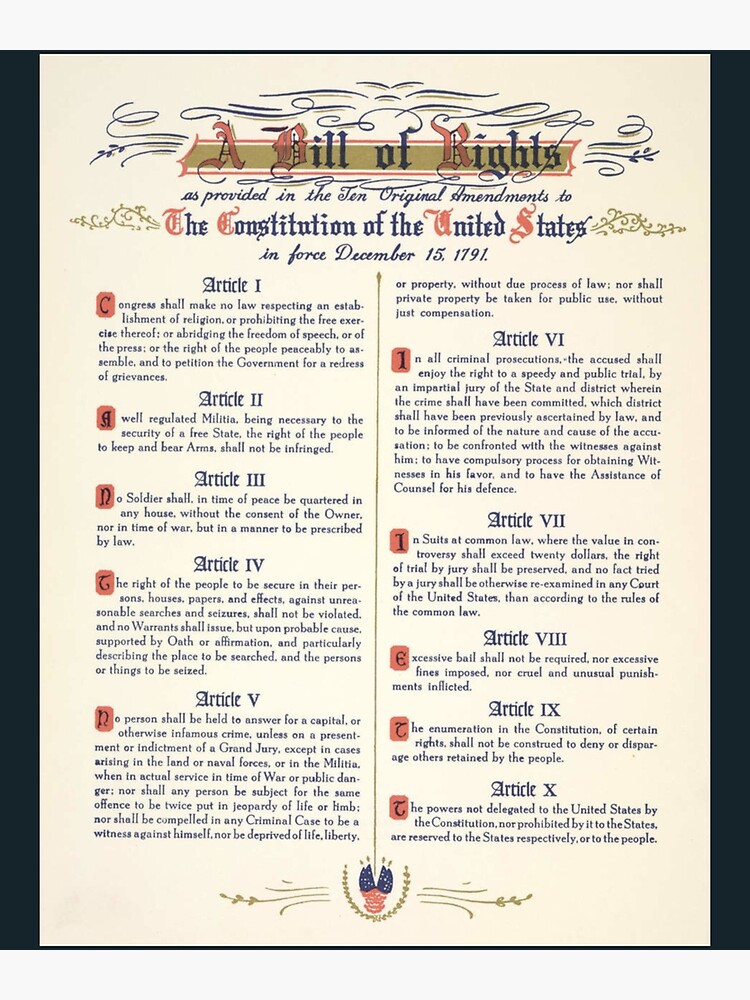 The U.S. Constitution - The Bill of Rights - NEW US History POSTER