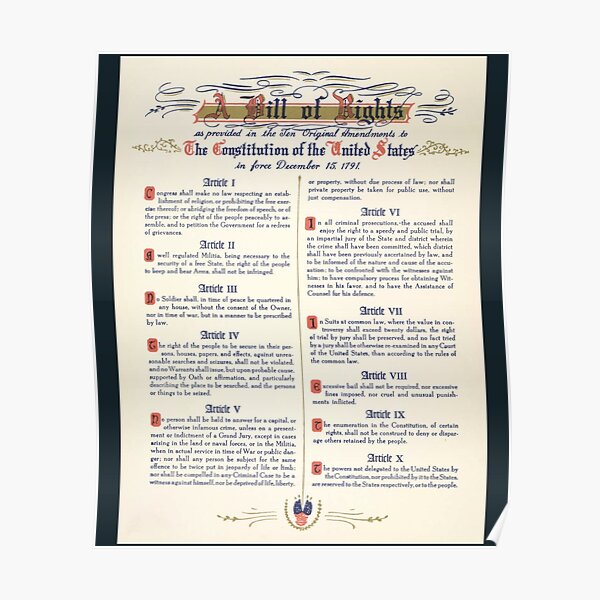 Bill Of Rights USA History Teacher T-Shirt Constitution Poster