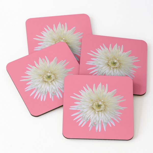Item preview, White Gerbera on Pink designed and sold by STHogan2.