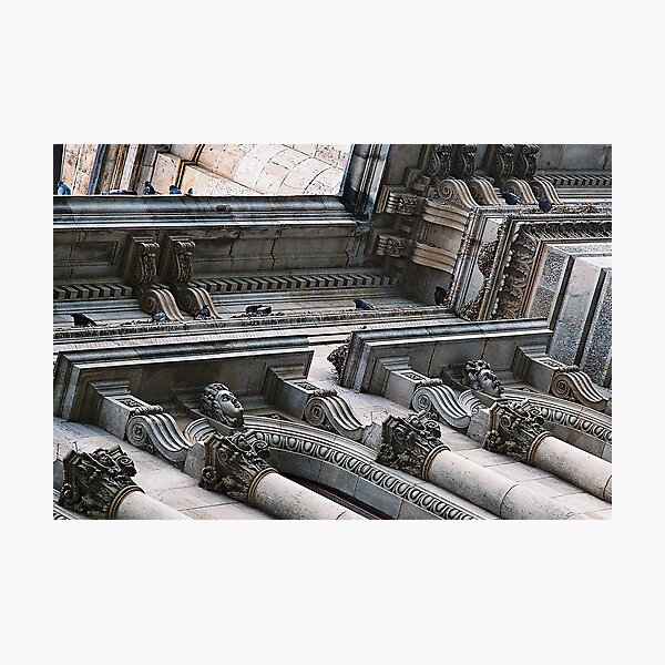 "Heads And Pigeons" Photographic Print