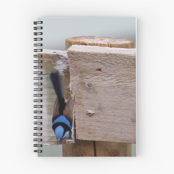Item preview, plummetting down to get some food - superb fairy wren designed and sold by Gaylene Norton.