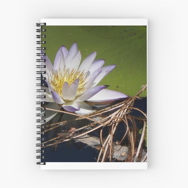 Item preview, Kimberley: Galvans Gorge designed and sold by Geoffrey Grinton.