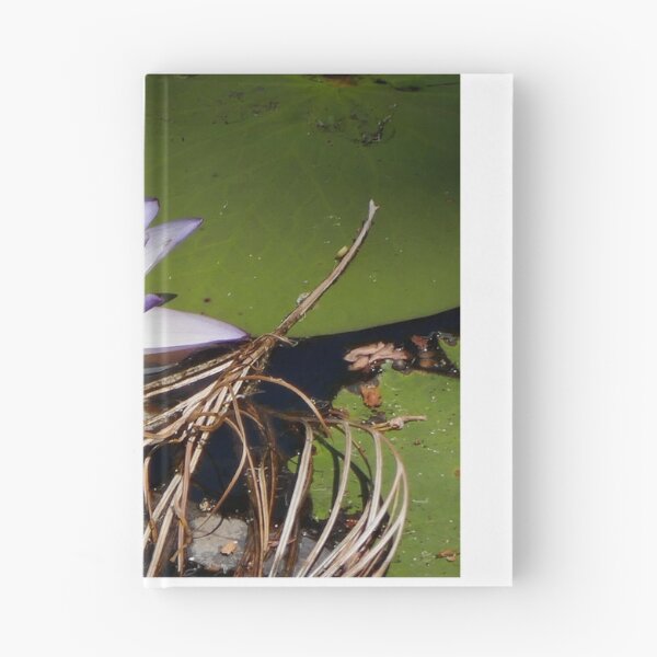 Item preview, Kimberley: Galvans Gorge designed and sold by Geoffrey Grinton.