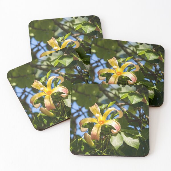 Item preview, Exotic Flowers - Blooming Ceiba Speciosa Silk Floss Tree designed and sold by Georgia Mizuleva.