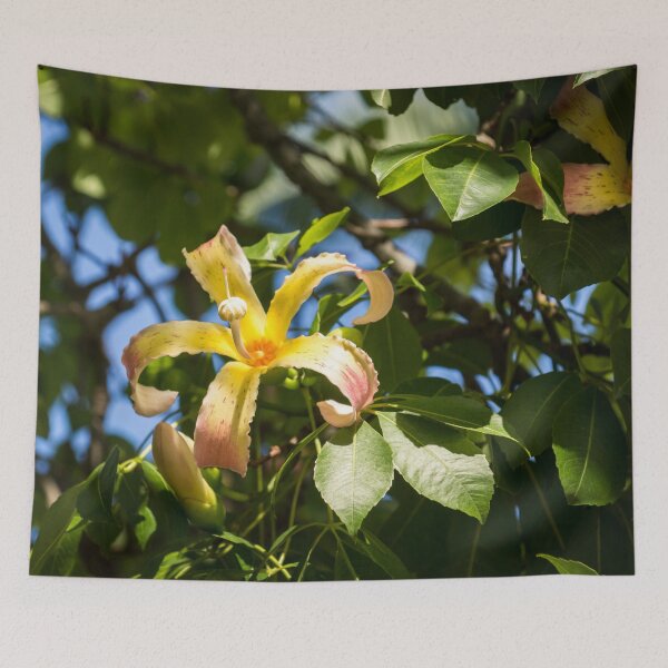 Item preview, Exotic Flowers - Blooming Ceiba Speciosa Silk Floss Tree designed and sold by Georgia Mizuleva.