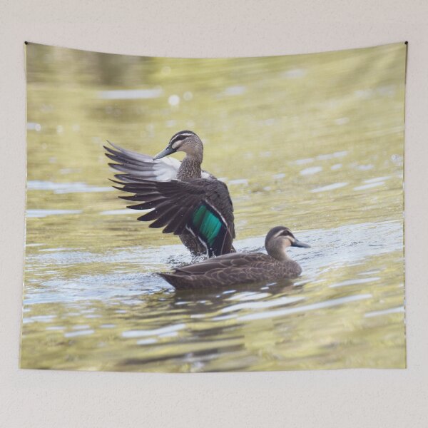 Item preview, Two Ducks - One in a Flap designed and sold by imaginethis.
