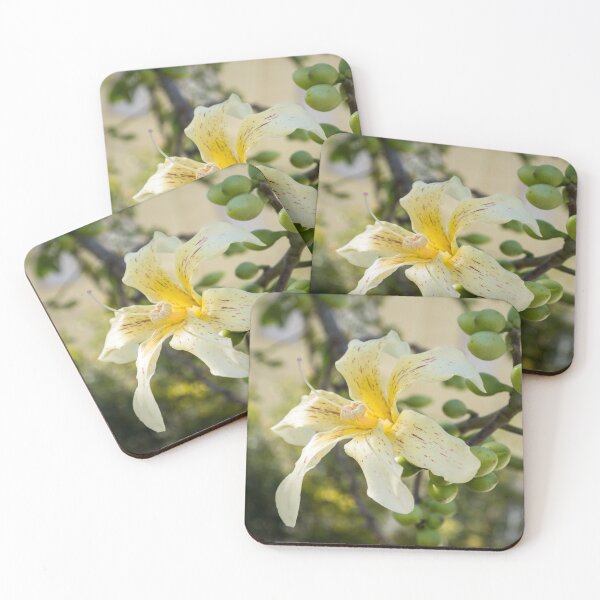 Item preview, Exotic Flower - Blooming Ceiba Speciosa Silk Floss Tree designed and sold by Georgia Mizuleva.