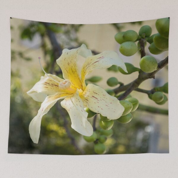 Item preview, Exotic Flower - Blooming Ceiba Speciosa Silk Floss Tree designed and sold by Georgia Mizuleva.