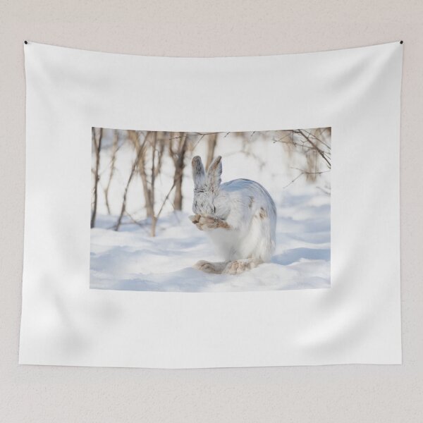 Item preview, Snowshoe hare praying designed and sold by James Cumming.