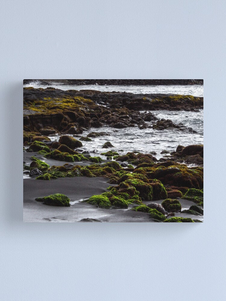 Thumbnail 1 of 3, Canvas Print, Punaluʻu Beach designed and sold by darren-j-mcleod.