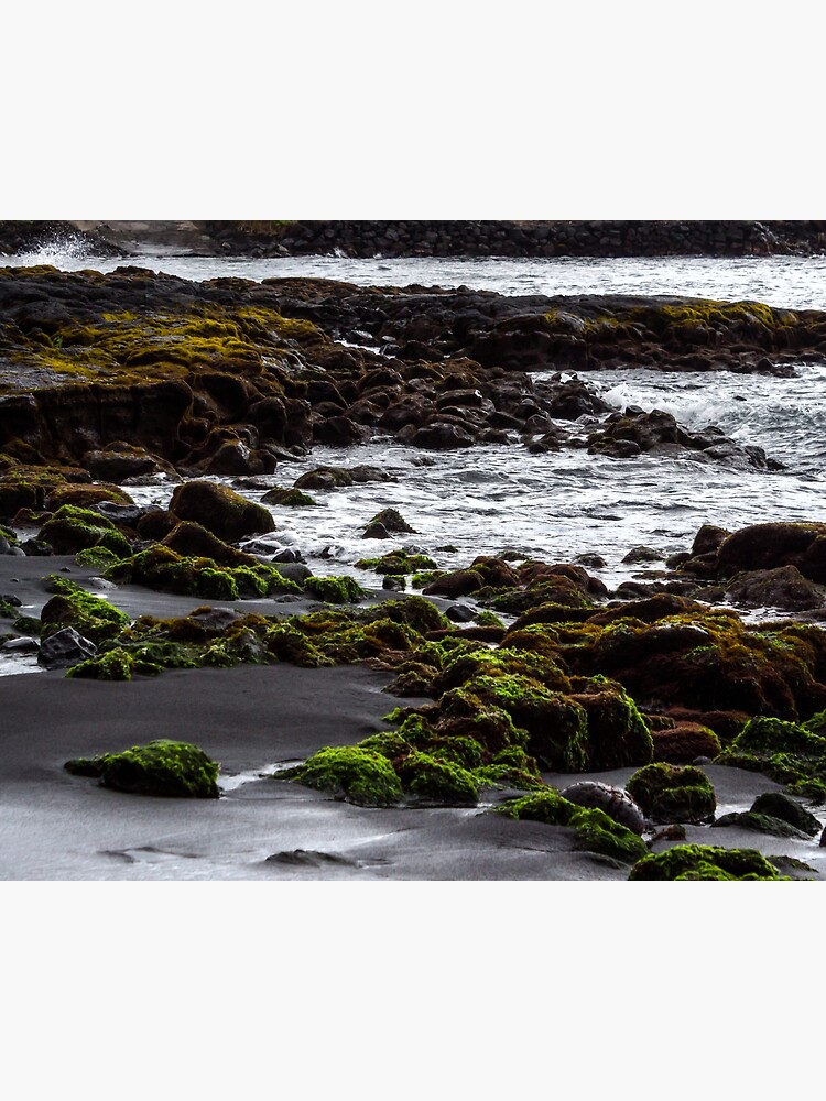Thumbnail 3 of 3, Canvas Print, Punaluʻu Beach designed and sold by darren-j-mcleod.