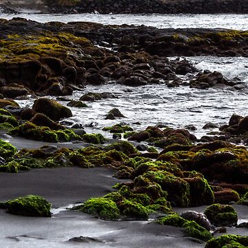 Artwork thumbnail, Punaluʻu Beach by darren-j-mcleod
