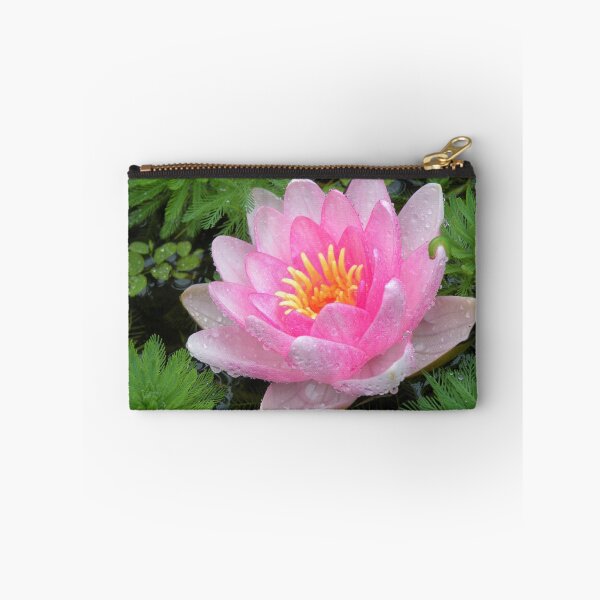 Item preview, Nymphaea Attraction designed and sold by Jo Nijenhuis.