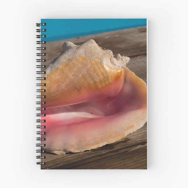 Item preview, Conch Shells of Bimini  designed and sold by fineartbyK.