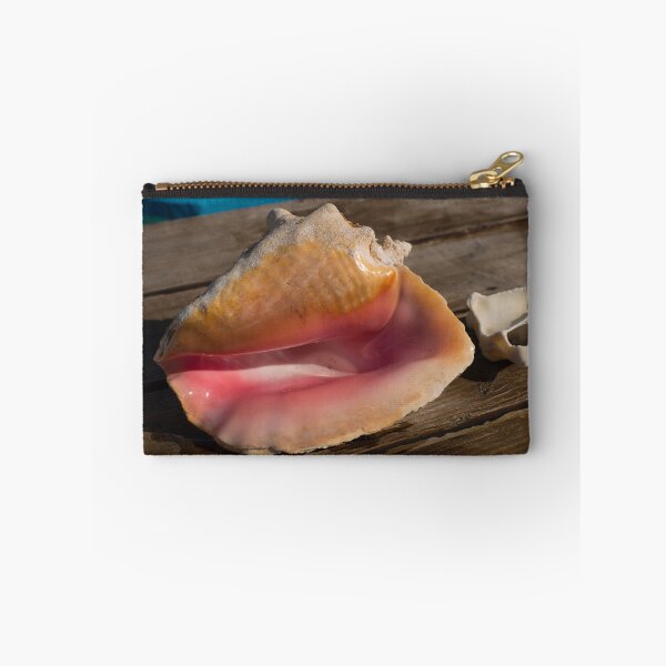 Item preview, Conch Shells of Bimini  designed and sold by fineartbyK.
