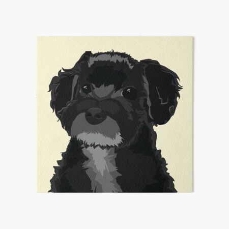 Maltipoo Dog Art Board Print