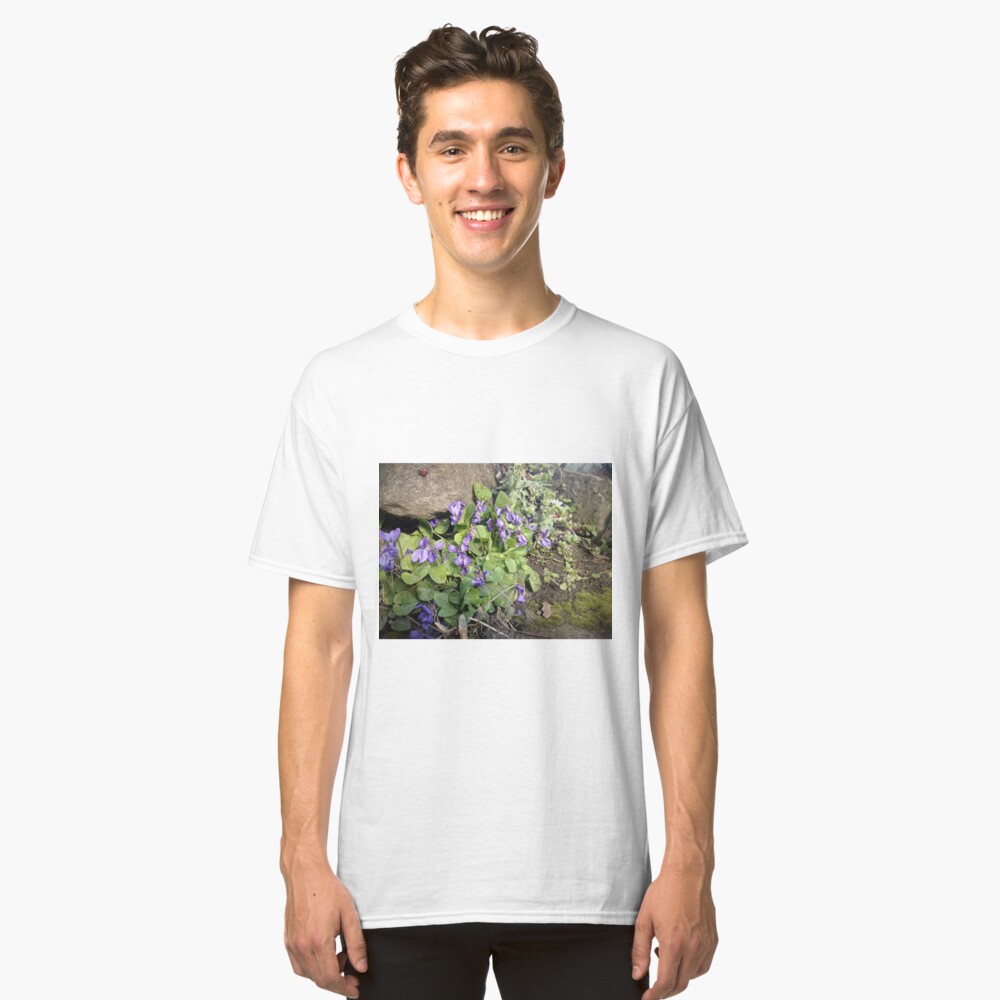 Veilchen am Stein Classic T-Shirt