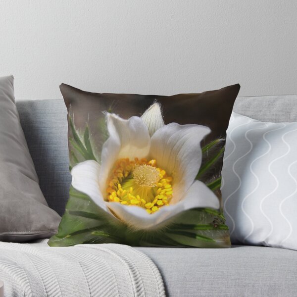 Item preview, White Pasque Flower designed and sold by Jo Nijenhuis.