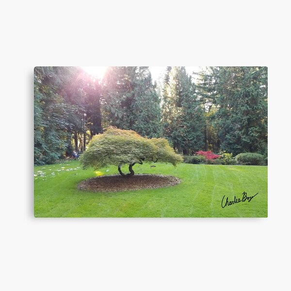 The Light Shines Through at the Grotto Canvas Print