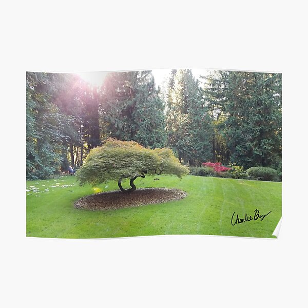 The Light Shines Through at the Grotto Poster