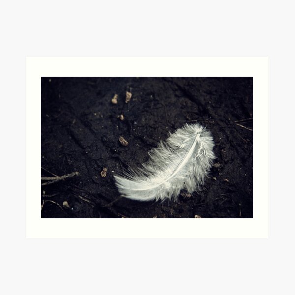 The White Feather Art Print