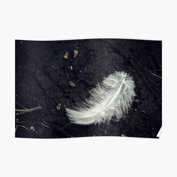 The White Feather Poster
