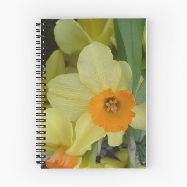 Item preview, Narcissus blossomed designed and sold by Ana Belaj.