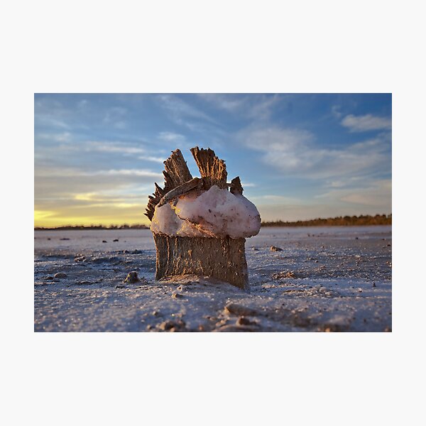 Artikelvorschau, Salty Landscape entworfen und verkauft von Sherrill Meredith.