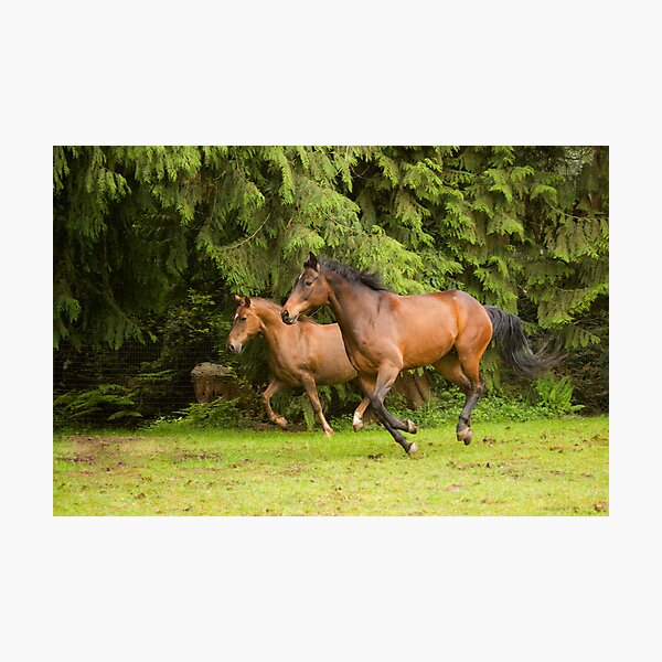 Item preview, Running Horses designed and sold by photodivaanna.