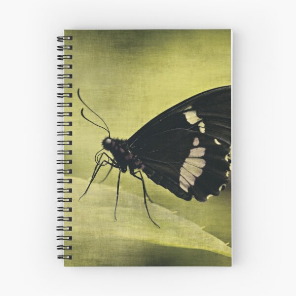 Item preview, Butterfly designed and sold by Anne Staub.