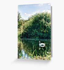 Swan River Greeting Card