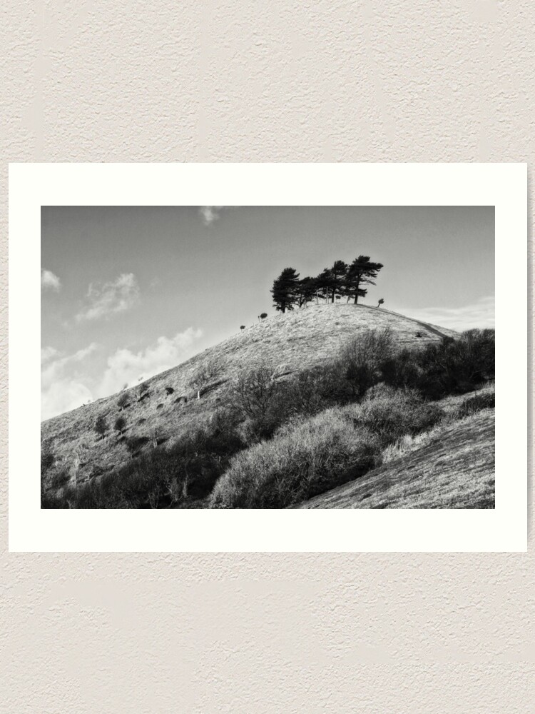 Colmers Hill Black And White Art Print By Inspiraimage Redbubble