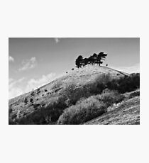 Colmers Hill - Black and white Photographic Print
